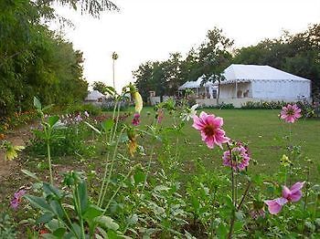 סוואי מדופור Jungle View Resort מראה חיצוני תמונה