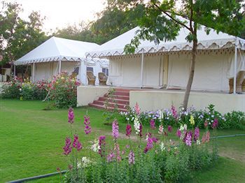 סוואי מדופור Jungle View Resort מראה חיצוני תמונה