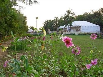 סוואי מדופור Jungle View Resort מראה חיצוני תמונה